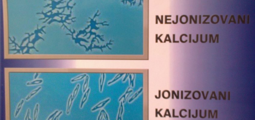 KAKO SE KALCIJUM PONAŠA U NAŠEM TELU.