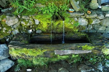 Voda- uslov za život