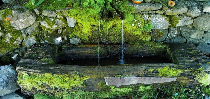 Voda- uslov za život