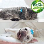 Teleskopski češko za celu porodicu i vaše kućne ljubimce - Slika 5