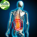 Samozagrevaći pojas za lumbalni deo – prirodna toplina za zdrava leđa! - Slika 4